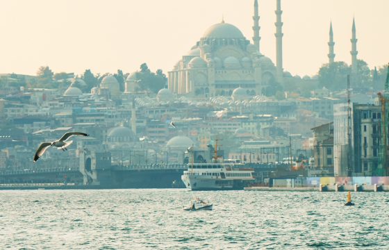 Panoramic view of the beautiful city of Istanbul sea and flying seagull. Turkey