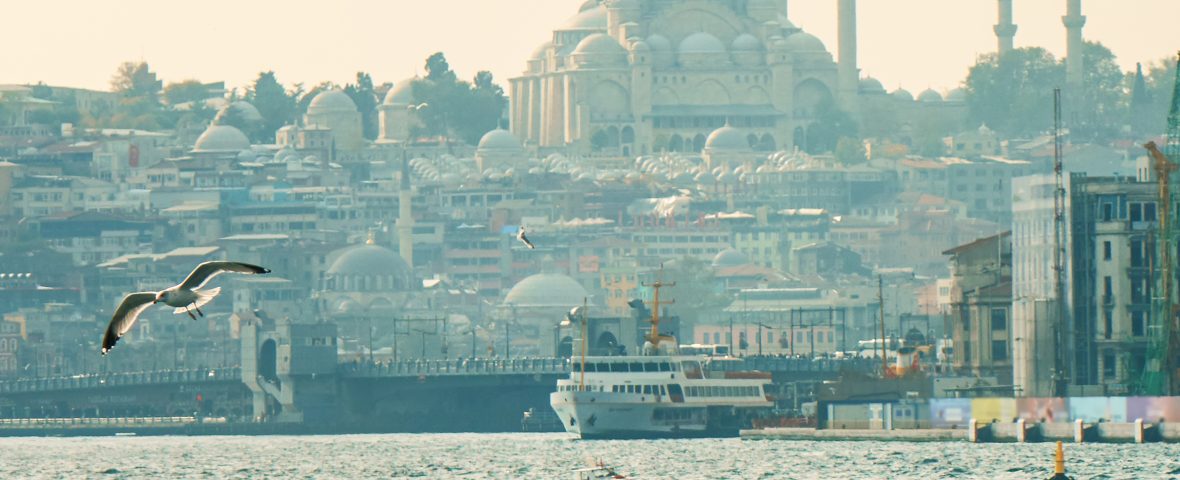 Panoramic view of the beautiful city of Istanbul sea and flying seagull. Turkey